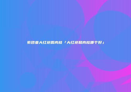 紫砂壶大红袍喝肉桂「大红袍和肉桂哪个好」