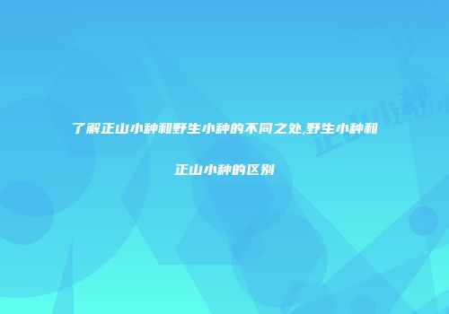 了解正山小种和野生小种的不同之处,野生小种和正山小种的区别