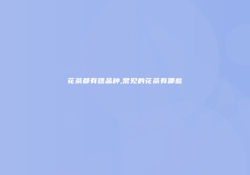 花茶都有啥品种,常见的花茶有哪些