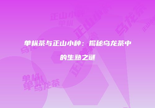 单枞茶与正山小种：揭秘乌龙茶中的生熟之谜