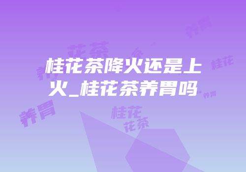 桂花茶降火还是上火_桂花茶养胃吗