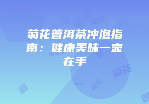 菊花普洱茶冲泡指南：健康美味一壶在手
