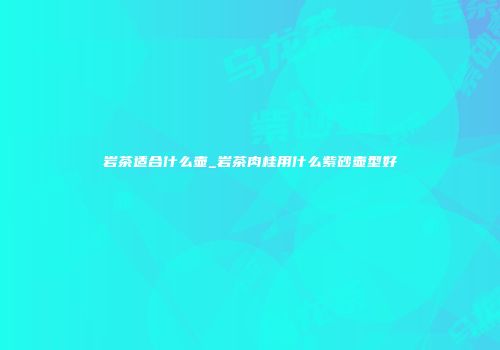 岩茶适合什么壶_岩茶肉桂用什么紫砂壶型好