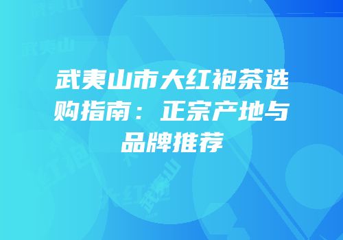 武夷山市大红袍茶选购指南：正宗产地与品牌推荐