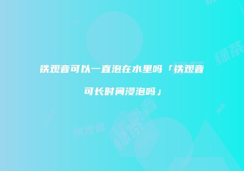 铁观音可以一直泡在水里吗「铁观音可长时间浸泡吗」