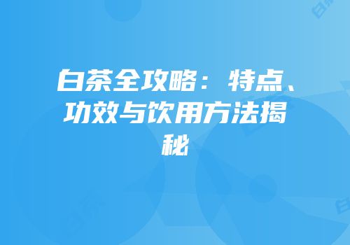 白茶全攻略：特点、功效与饮用方法揭秘