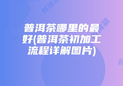 普洱茶哪里的最好(普洱茶初加工流程详解图片)