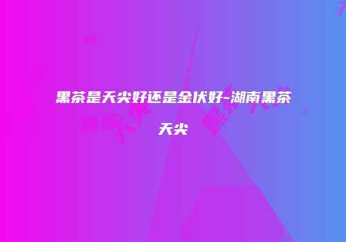 黑茶是天尖好还是金伏好-湖南黑茶天尖