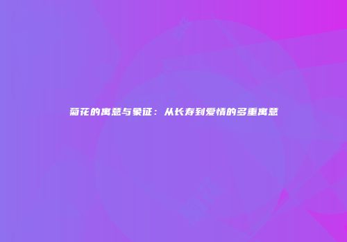 菊花的寓意与象征：从长寿到爱情的多重寓意