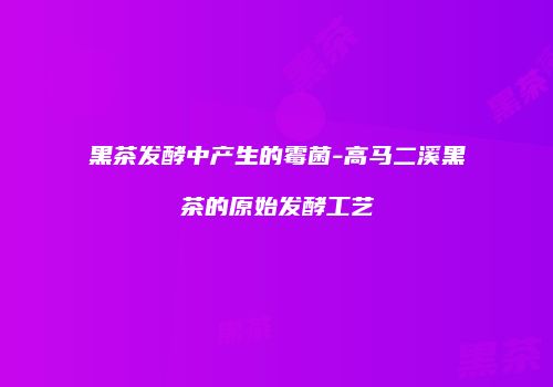 黑茶发酵中产生的霉菌-高马二溪黑茶的原始发酵工艺