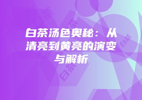 白茶汤色奥秘：从清亮到黄亮的演变与解析