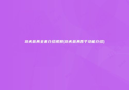 功夫茶具全套介绍视频(功夫茶具各个功能介绍)