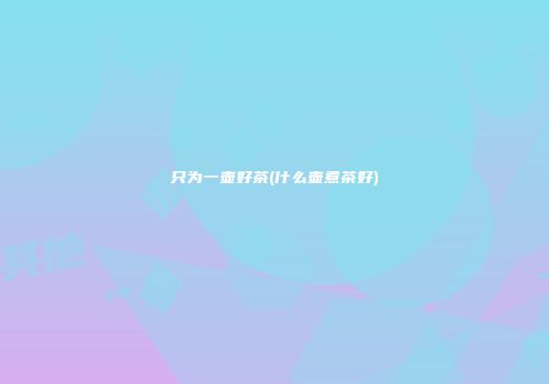 只为一壶好茶(什么壶煮茶好)