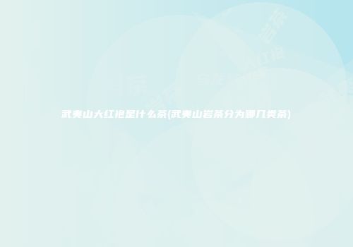 武夷山大红袍是什么茶(武夷山岩茶分为哪几类茶)
