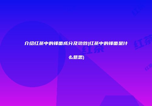 介绍红茶中的锋苗成分及功效(红茶中的锋苗是什么意思)