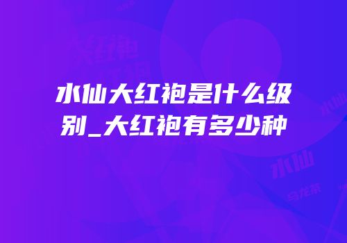 水仙大红袍是什么级别_大红袍有多少种