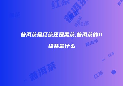 普洱茶是红茶还是黑茶,普洱茶的11级茶是什么