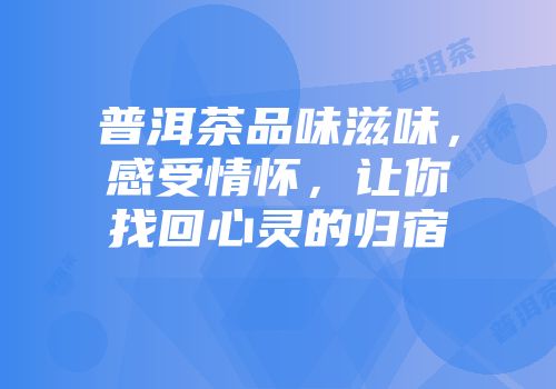 普洱茶品味滋味，感受情怀，让你找回心灵的归宿