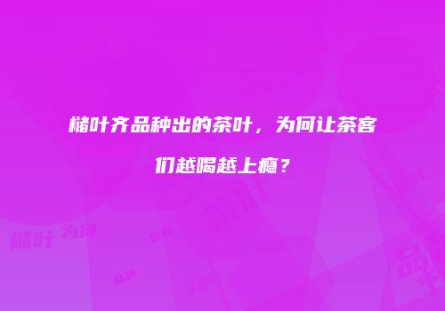 槠叶齐品种出的茶叶，为何让茶客们越喝越上瘾？