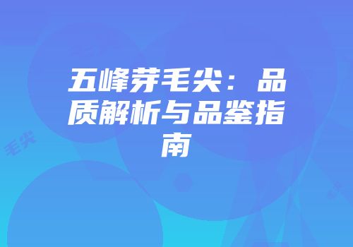 五峰芽毛尖：品质解析与品鉴指南