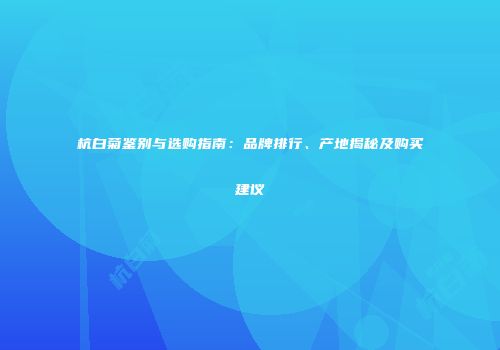 杭白菊鉴别与选购指南：品牌排行、产地揭秘及购买建议