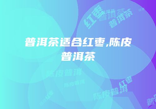 普洱茶适合红枣,陈皮普洱茶
