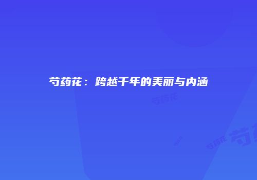 芍药花：跨越千年的美丽与内涵