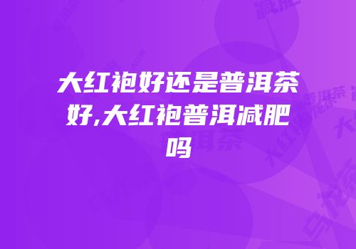 大红袍好还是普洱茶好,大红袍普洱减肥吗