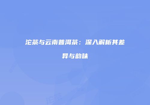 沱茶与云南普洱茶：深入解析其差异与韵味