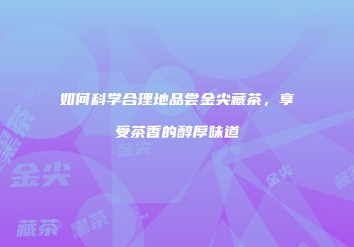 如何科学合理地品尝金尖藏茶，享受茶香的醇厚味道