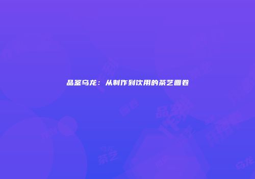 品鉴乌龙：从制作到饮用的茶艺画卷
