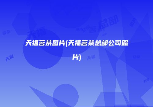 天福茗茶图片(天福茗茶总部公司照片)