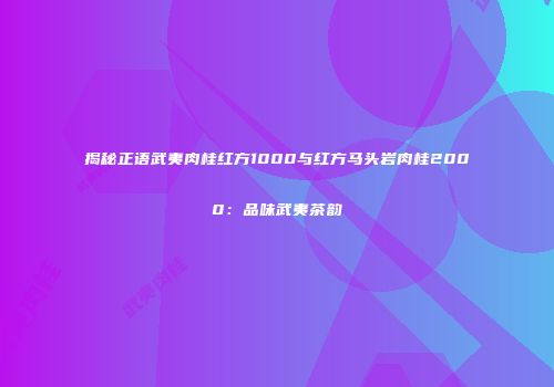 揭秘正语武夷肉桂红方1000与红方马头岩肉桂2000：品味武夷茶韵