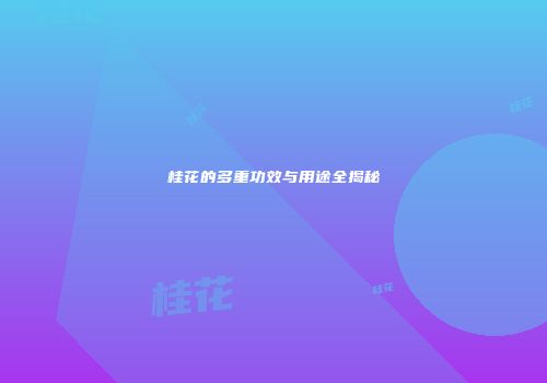 桂花的多重功效与用途全揭秘