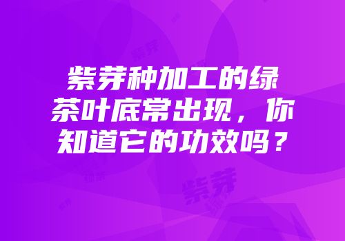 紫芽种加工的绿茶叶底常出现，你知道它的功效吗？