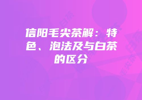 信阳毛尖茶解：特色、泡法及与白茶的区分