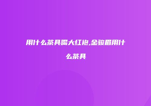 用什么茶具喝大红袍,金骏眉用什么茶具
