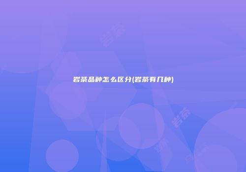 岩茶品种怎么区分(岩茶有几种)