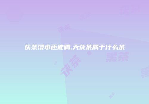 茯茶浸水还能喝,天茯茶属于什么茶