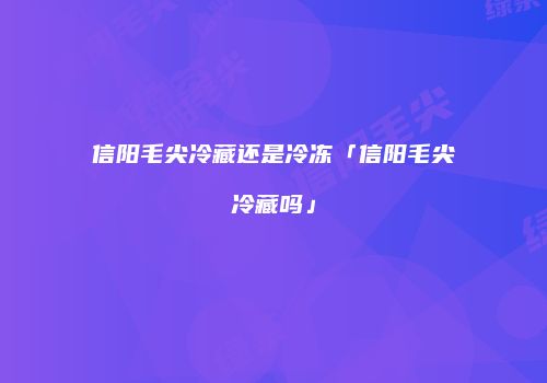 信阳毛尖冷藏还是冷冻「信阳毛尖冷藏吗」