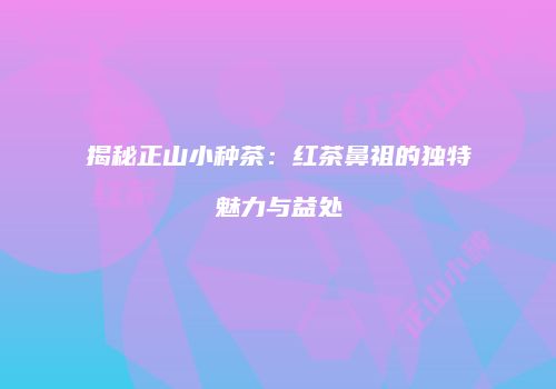 揭秘正山小种茶：红茶鼻祖的独特魅力与益处