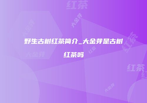 野生古树红茶简介_大金芽是古树红茶吗
