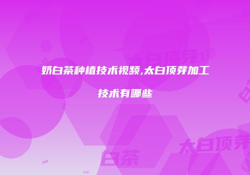 奶白茶种植技术视频,太白顶芽加工技术有哪些
