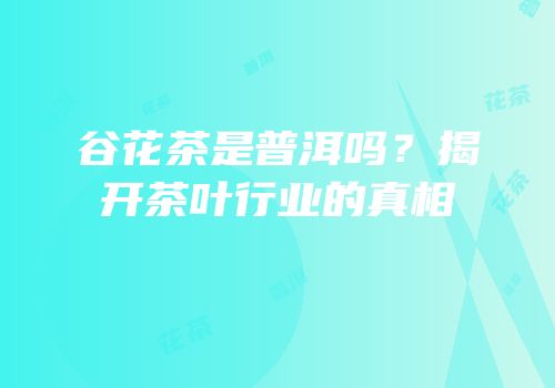 谷花茶是普洱吗？揭开茶叶行业的真相