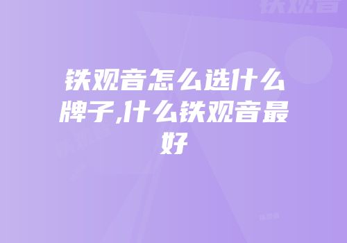 铁观音怎么选什么牌子,什么铁观音最好