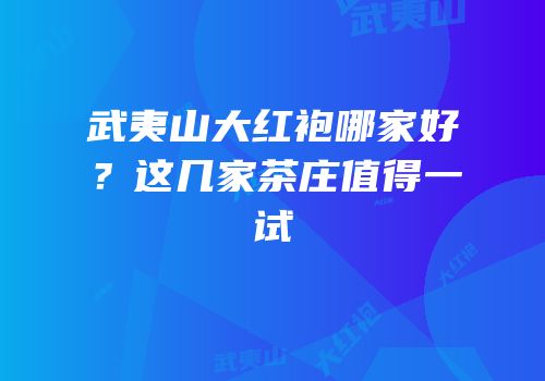 武夷山大红袍哪家好？这几家茶庄值得一试