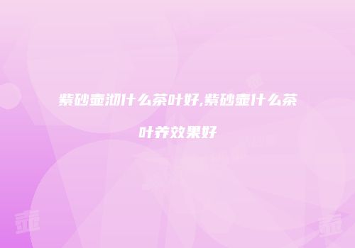 紫砂壶沏什么茶叶好,紫砂壶什么茶叶养效果好