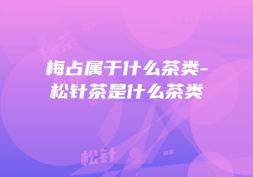 梅占属于什么茶类-松针茶是什么茶类