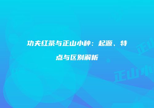 功夫红茶与正山小种：起源、特点与区别解析