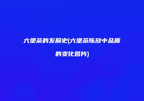 六堡茶的发展史(六堡茶陈放中品质的变化图片)